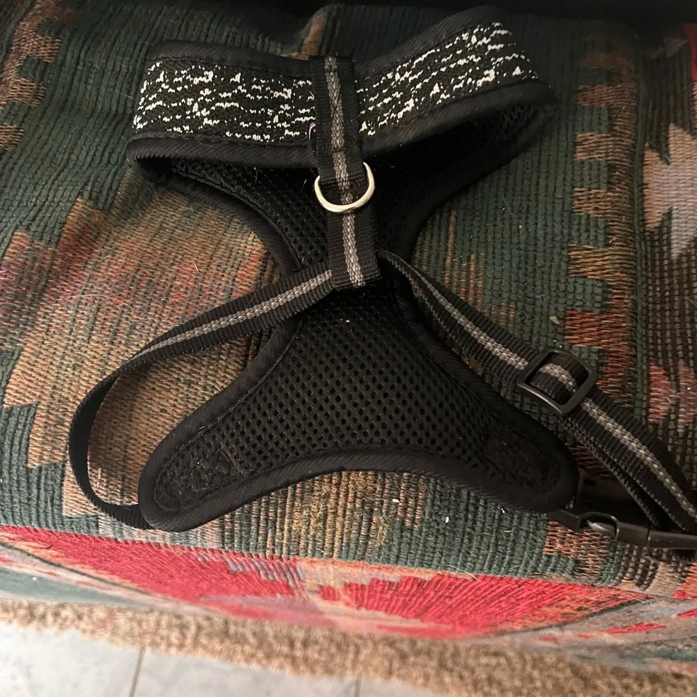 Cat halter black with whiteish silverish stripes fit’s medium large size cats
